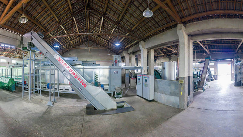 绿茶清洁自动化生产线